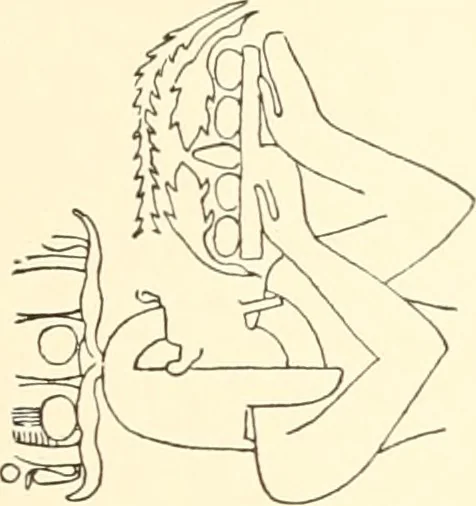 An illustration from Debod bis Bab Kalabsche, 1911, leaf 210