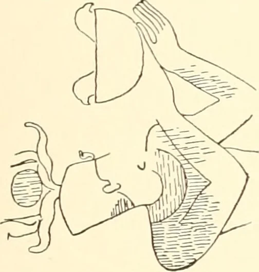 An illustration from Debod bis Bab Kalabsche, 1911, leaf 210