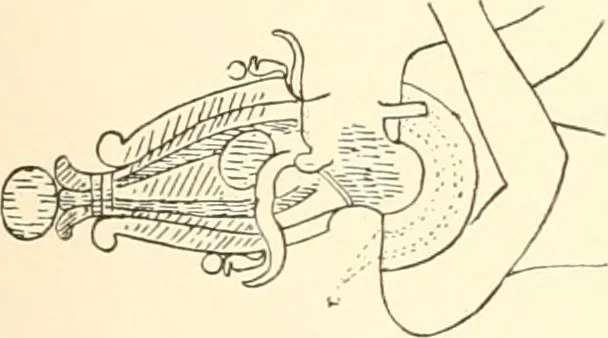 An illustration from Debod bis Bab Kalabsche, 1911, leaf 210