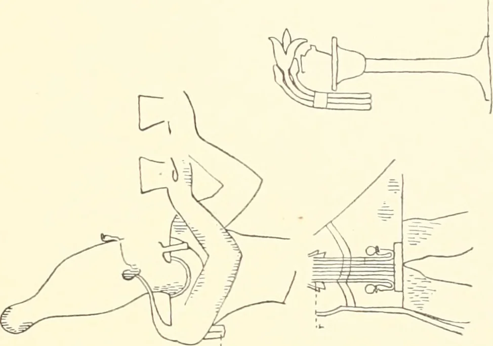 An illustration from Debod bis Bab Kalabsche, 1911, leaf 212