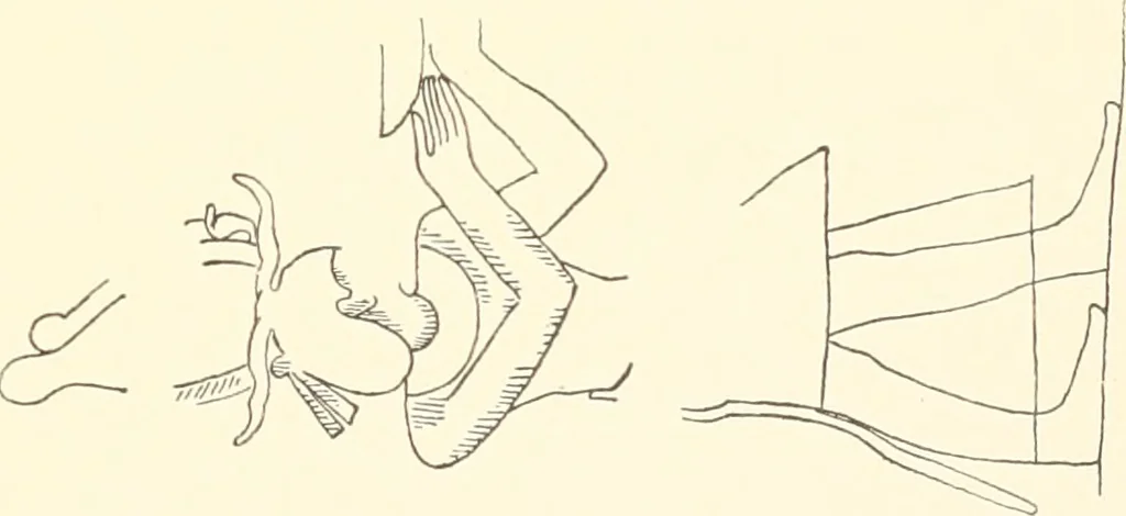 An illustration from Debod bis Bab Kalabsche, 1911, leaf 212