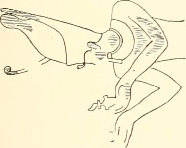 An illustration from Debod bis Bab Kalabsche, 1911, leaf 214