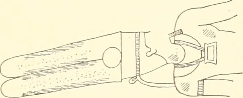 An illustration from Debod bis Bab Kalabsche, 1911, leaf 216