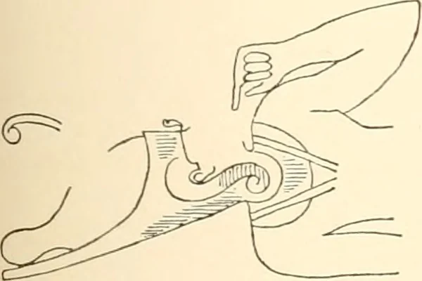 An illustration from Debod bis Bab Kalabsche, 1911, leaf 216