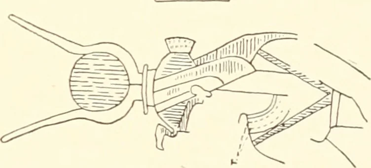 An illustration from Debod bis Bab Kalabsche, 1911, leaf 218