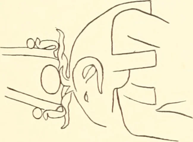 An illustration from Debod bis Bab Kalabsche, 1911, leaf 220