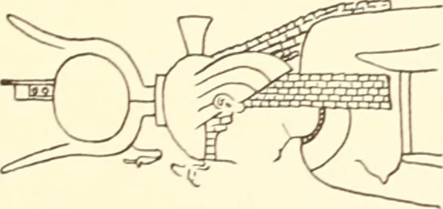 An illustration from Debod bis Bab Kalabsche, 1911, leaf 230