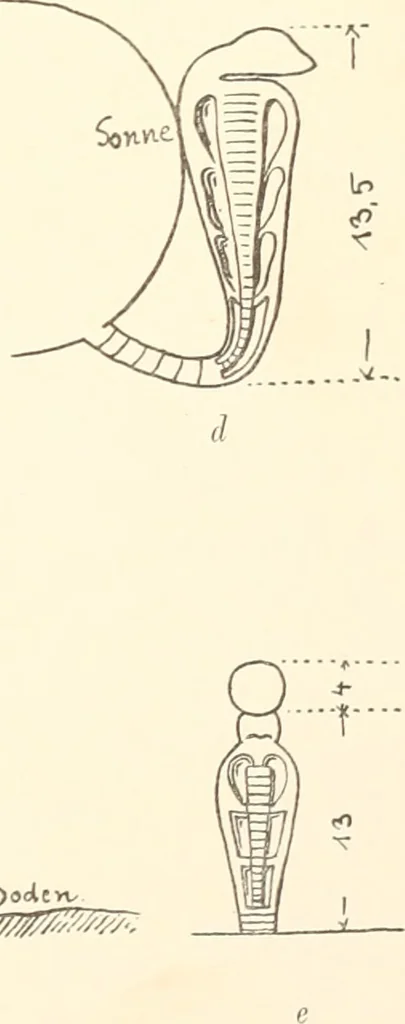 An illustration from Debod bis Bab Kalabsche, 1911, leaf 232