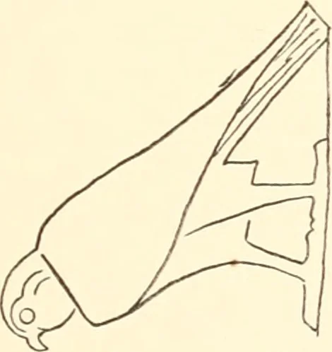An illustration from Debod bis Bab Kalabsche, 1911, leaf 234
