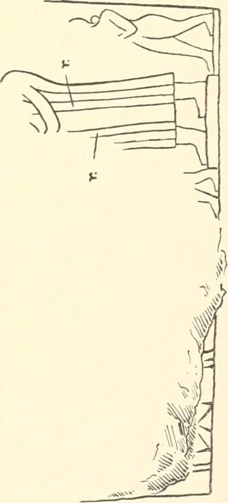An illustration from Debod bis Bab Kalabsche, 1911, leaf 234