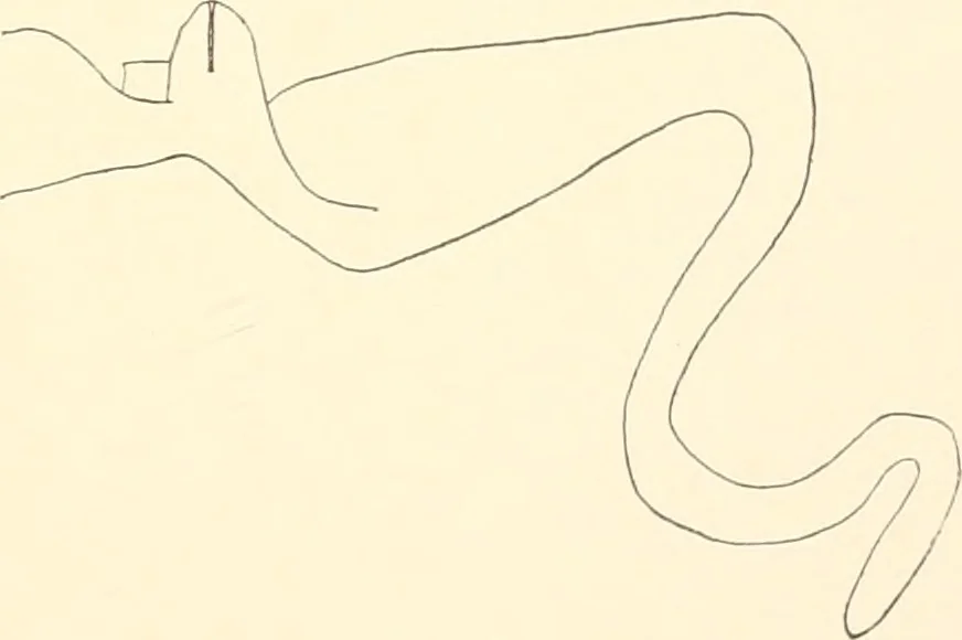 An illustration from Debod bis Bab Kalabsche, 1911, leaf 234
