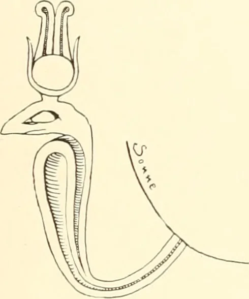An illustration from Debod bis Bab Kalabsche, 1911, leaf 256
