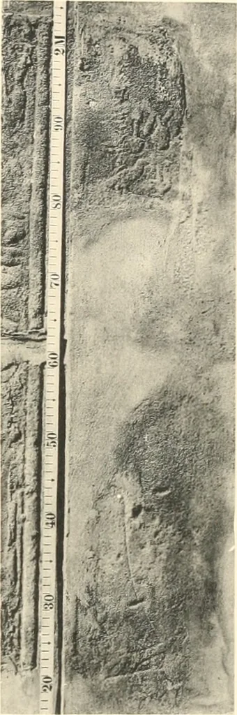 An illustration from Debod bis Bab Kalabsche, 1911, leaf 28