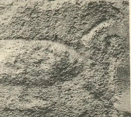 An illustration from Debod bis Bab Kalabsche, 1911, leaf 90