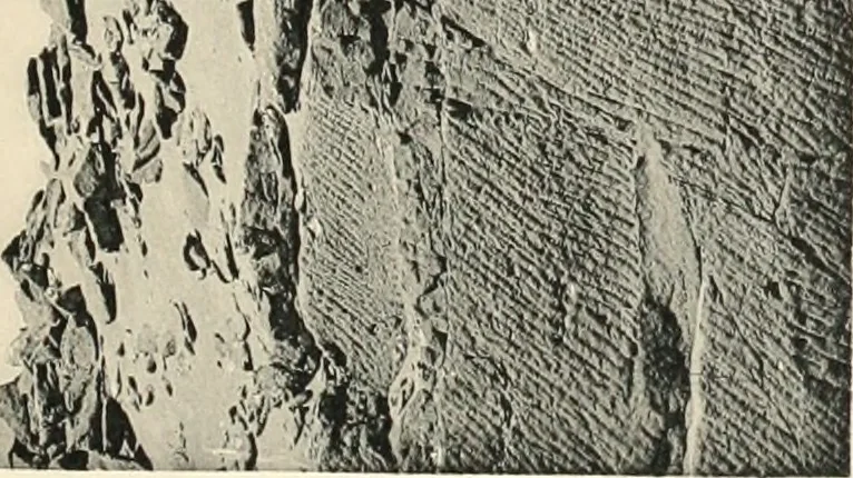 An illustration from Debod bis Bab Kalabsche, 1911, leaf 92