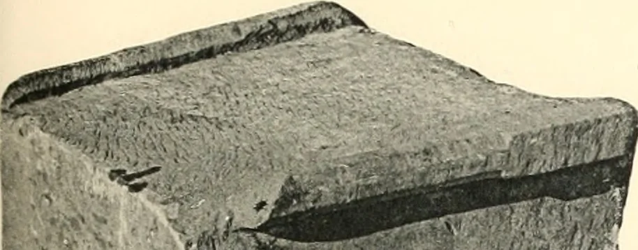 An illustration from Debod bis Bab Kalabsche, 1911, leaf 94