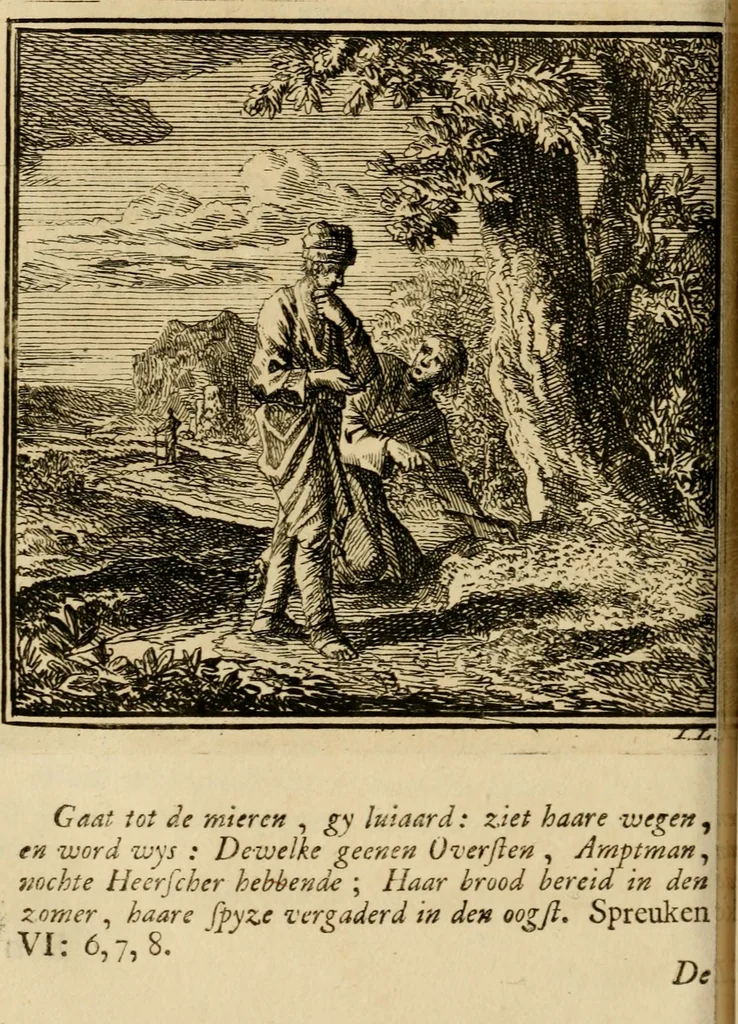 An illustration from De bykorf des gemoeds : honing zaamelende uit allerley bloemen : vervattende over de honderd konstige figuuren : met godlyke spreuken en stichtelyke verzen, 1711, leaf 133