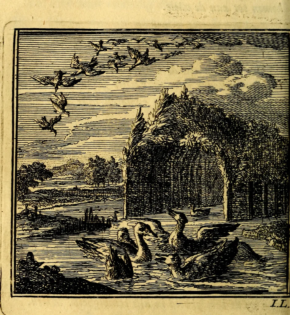 An illustration from De Bykorf des Gemoeds : Honing zaamelende uit allerley Bloemen, 1711, leaf 105