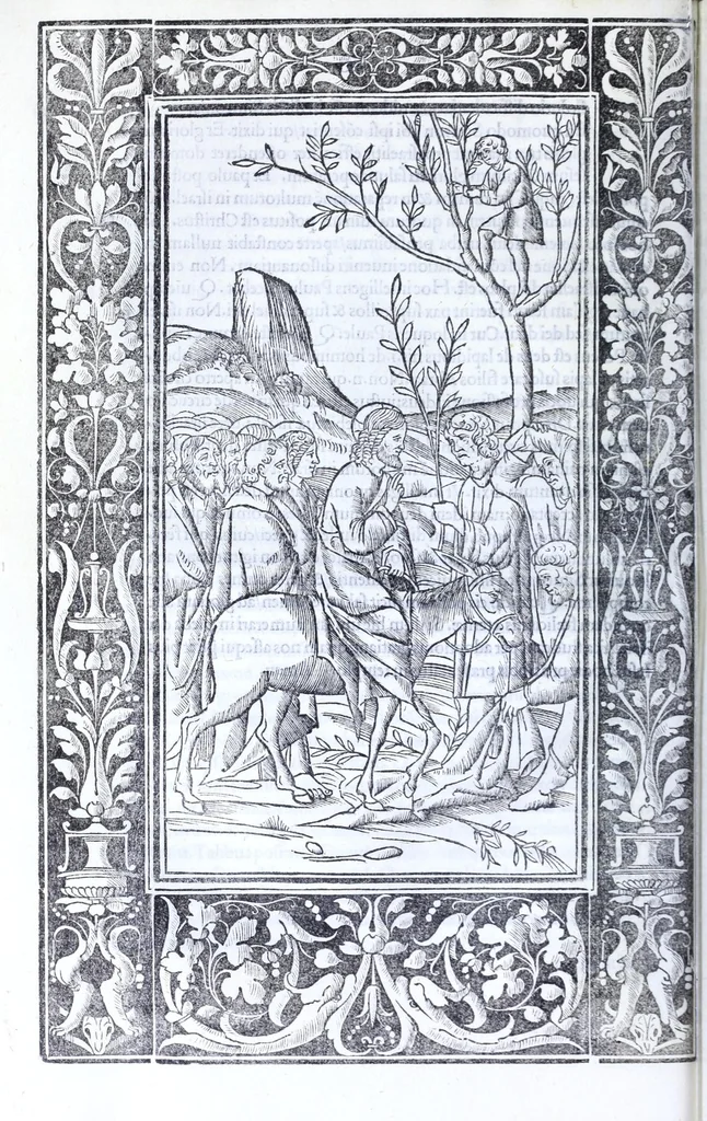 An illustration from Decachordvm christianvm : Ivlio II, pont. max. dicatvm, 1507, leaf 200