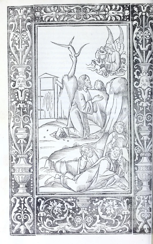An illustration from Decachordvm christianvm : Ivlio II, pont. max. dicatvm, 1507, leaf 216