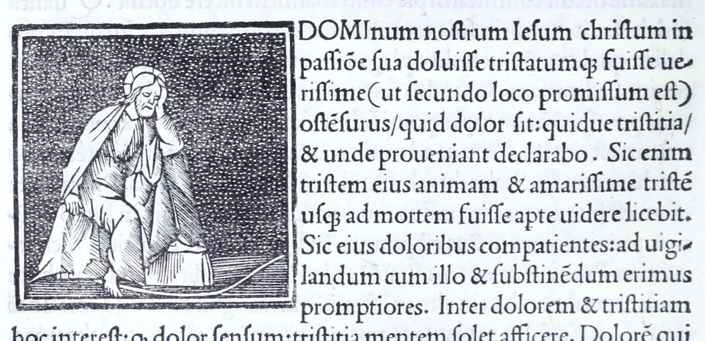 An illustration from Decachordvm christianvm : Ivlio II, pont. max. dicatvm, 1507, leaf 222