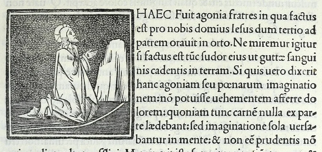 An illustration from Decachordvm christianvm : Ivlio II, pont. max. dicatvm, 1507, leaf 225