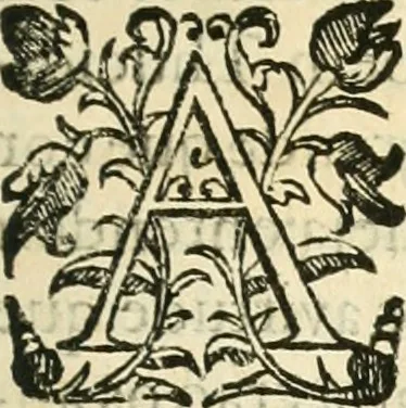 An illustration from Decada quarta da Asia : dos feitos que os portugueses fizeram na conquista e descobrimento das terras, & mares do Oriente : em quanto gouernaraõ a India Lopo Vaz de Saõ Payo, & parte de Nuno da Cunha, 1602, leaf 10
