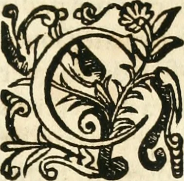 An illustration from Decada quarta da Asia : dos feitos que os portugueses fizeram na conquista e descobrimento das terras, & mares do Oriente : em quanto gouernaraõ a India Lopo Vaz de Saõ Payo, & parte de Nuno da Cunha, 1602, leaf 100