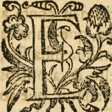 An illustration from Decada quarta da Asia : dos feitos que os portugueses fizeram na conquista e descobrimento das terras, & mares do Oriente : em quanto gouernaraõ a India Lopo Vaz de Saõ Payo, & parte de Nuno da Cunha, 1602, leaf 104