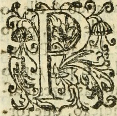 An illustration from Decada quarta da Asia : dos feitos que os portugueses fizeram na conquista e descobrimento das terras, & mares do Oriente : em quanto gouernaraõ a India Lopo Vaz de Saõ Payo, & parte de Nuno da Cunha, 1602, leaf 115