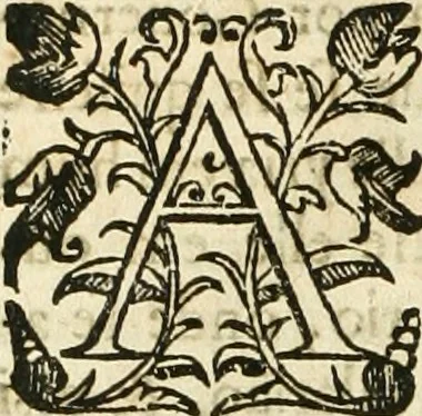 An illustration from Decada quarta da Asia : dos feitos que os portugueses fizeram na conquista e descobrimento das terras, & mares do Oriente : em quanto gouernaraõ a India Lopo Vaz de Saõ Payo, & parte de Nuno da Cunha, 1602, leaf 135