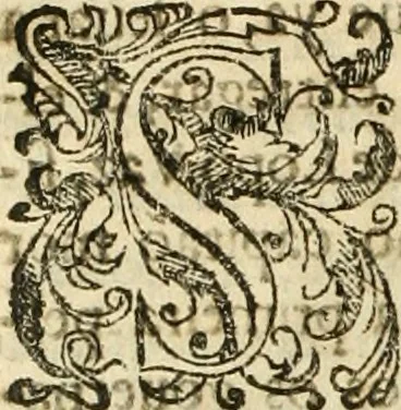 An illustration from Decada quarta da Asia : dos feitos que os portugueses fizeram na conquista e descobrimento das terras, & mares do Oriente : em quanto gouernaraõ a India Lopo Vaz de Saõ Payo, & parte de Nuno da Cunha, 1602, leaf 143