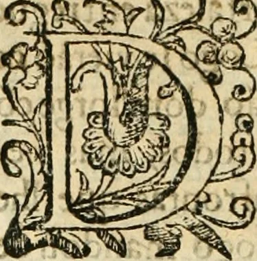 An illustration from Decada quarta da Asia : dos feitos que os portugueses fizeram na conquista e descobrimento das terras, & mares do Oriente : em quanto gouernaraõ a India Lopo Vaz de Saõ Payo, & parte de Nuno da Cunha, 1602, leaf 161