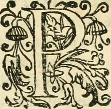 An illustration from Decada quarta da Asia : dos feitos que os portugueses fizeram na conquista e descobrimento das terras, & mares do Oriente : em quanto gouernaraõ a India Lopo Vaz de Saõ Payo, & parte de Nuno da Cunha, 1602, leaf 164