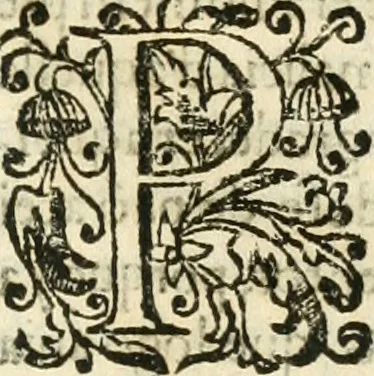 An illustration from Decada quarta da Asia : dos feitos que os portugueses fizeram na conquista e descobrimento das terras, & mares do Oriente : em quanto gouernaraõ a India Lopo Vaz de Saõ Payo, & parte de Nuno da Cunha, 1602, leaf 166