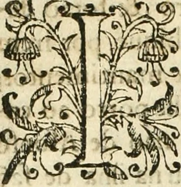 An illustration from Decada quarta da Asia : dos feitos que os portugueses fizeram na conquista e descobrimento das terras, & mares do Oriente : em quanto gouernaraõ a India Lopo Vaz de Saõ Payo, & parte de Nuno da Cunha, 1602, leaf 191