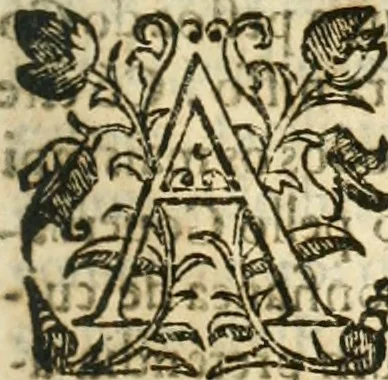 An illustration from Decada quarta da Asia : dos feitos que os portugueses fizeram na conquista e descobrimento das terras, & mares do Oriente : em quanto gouernaraõ a India Lopo Vaz de Saõ Payo, & parte de Nuno da Cunha, 1602, leaf 200