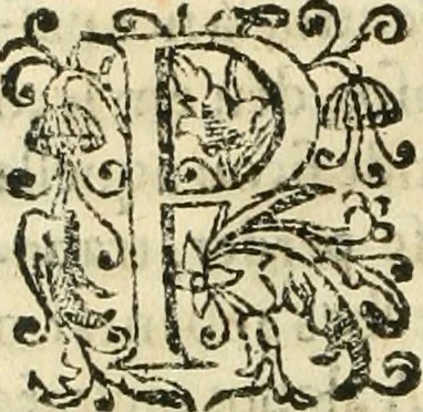 An illustration from Decada quarta da Asia : dos feitos que os portugueses fizeram na conquista e descobrimento das terras, & mares do Oriente : em quanto gouernaraõ a India Lopo Vaz de Saõ Payo, & parte de Nuno da Cunha, 1602, leaf 205