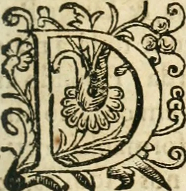 An illustration from Decada quarta da Asia : dos feitos que os portugueses fizeram na conquista e descobrimento das terras, & mares do Oriente : em quanto gouernaraõ a India Lopo Vaz de Saõ Payo, & parte de Nuno da Cunha, 1602, leaf 222
