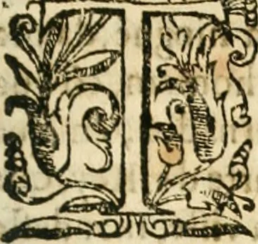 An illustration from Decada quarta da Asia : dos feitos que os portugueses fizeram na conquista e descobrimento das terras, & mares do Oriente : em quanto gouernaraõ a India Lopo Vaz de Saõ Payo, & parte de Nuno da Cunha, 1602, leaf 226