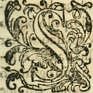 An illustration from Decada quarta da Asia : dos feitos que os portugueses fizeram na conquista e descobrimento das terras, & mares do Oriente : em quanto gouernaraõ a India Lopo Vaz de Saõ Payo, & parte de Nuno da Cunha, 1602, leaf 230