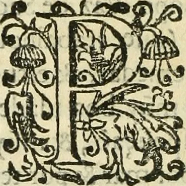 An illustration from Decada quarta da Asia : dos feitos que os portugueses fizeram na conquista e descobrimento das terras, & mares do Oriente : em quanto gouernaraõ a India Lopo Vaz de Saõ Payo, & parte de Nuno da Cunha, 1602, leaf 253