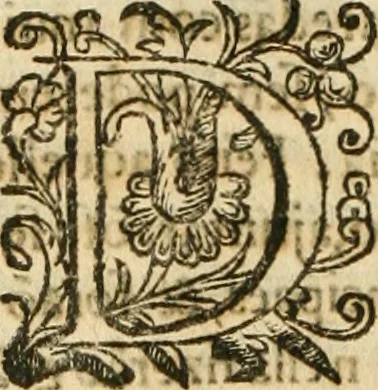 An illustration from Decada quarta da Asia : dos feitos que os portugueses fizeram na conquista e descobrimento das terras, & mares do Oriente : em quanto gouernaraõ a India Lopo Vaz de Saõ Payo, & parte de Nuno da Cunha, 1602, leaf 285