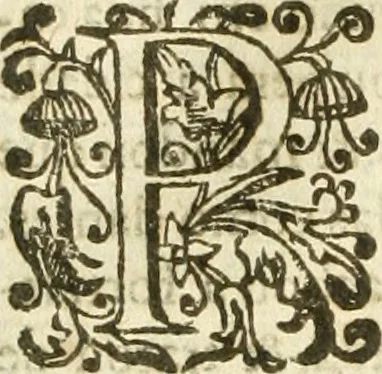 An illustration from Decada quarta da Asia : dos feitos que os portugueses fizeram na conquista e descobrimento das terras, & mares do Oriente : em quanto gouernaraõ a India Lopo Vaz de Saõ Payo, & parte de Nuno da Cunha, 1602, leaf 299