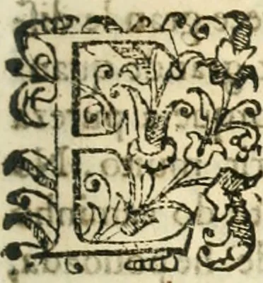 An illustration from Decada quarta da Asia : dos feitos que os portugueses fizeram na conquista e descobrimento das terras, & mares do Oriente : em quanto gouernaraõ a India Lopo Vaz de Saõ Payo, & parte de Nuno da Cunha, 1602, leaf 306