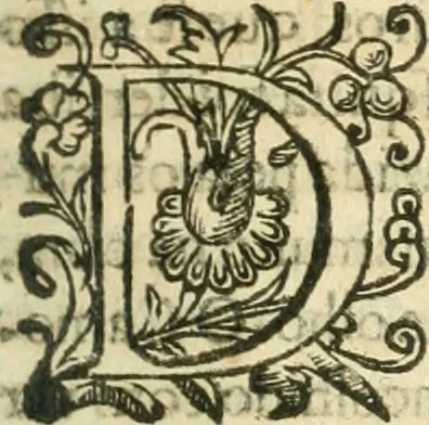 An illustration from Decada quarta da Asia : dos feitos que os portugueses fizeram na conquista e descobrimento das terras, & mares do Oriente : em quanto gouernaraõ a India Lopo Vaz de Saõ Payo, & parte de Nuno da Cunha, 1602, leaf 314