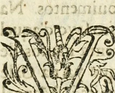 An illustration from Decada quarta da Asia : dos feitos que os portugueses fizeram na conquista e descobrimento das terras, & mares do Oriente : em quanto gouernaraõ a India Lopo Vaz de Saõ Payo, & parte de Nuno da Cunha, 1602, leaf 316