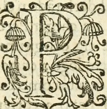 An illustration from Decada quarta da Asia : dos feitos que os portugueses fizeram na conquista e descobrimento das terras, & mares do Oriente : em quanto gouernaraõ a India Lopo Vaz de Saõ Payo, & parte de Nuno da Cunha, 1602, leaf 32