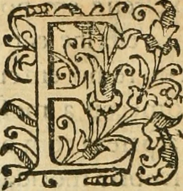 An illustration from Decada quarta da Asia : dos feitos que os portugueses fizeram na conquista e descobrimento das terras, & mares do Oriente : em quanto gouernaraõ a India Lopo Vaz de Saõ Payo, & parte de Nuno da Cunha, 1602, leaf 341
