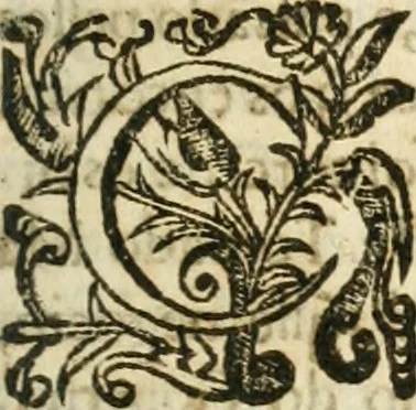 An illustration from Decada quarta da Asia : dos feitos que os portugueses fizeram na conquista e descobrimento das terras, & mares do Oriente : em quanto gouernaraõ a India Lopo Vaz de Saõ Payo, & parte de Nuno da Cunha, 1602, leaf 344